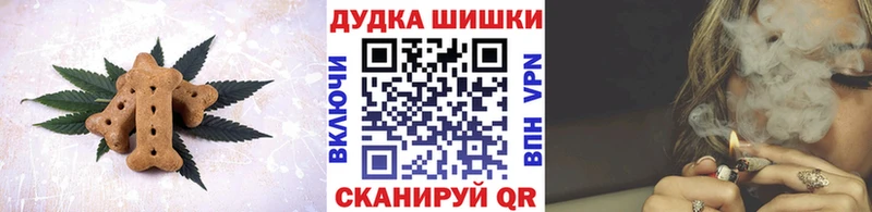 как найти закладки  Снежногорск  Cannafood конопля 
