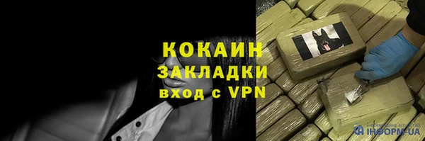 шишки Алексин