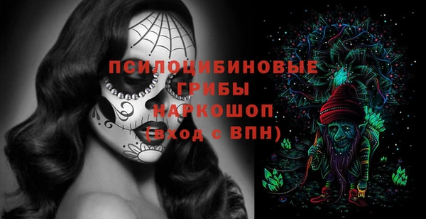 шишки Алексин