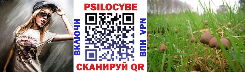 kraken маркетплейс  Снежногорск  Галлюциногенные грибы GOLDEN TEACHER 