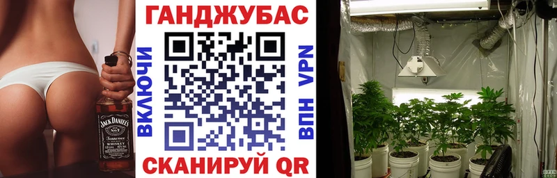 мега ONION  Снежногорск  дарк нет телеграм  закладка  Конопля SATIVA & INDICA 